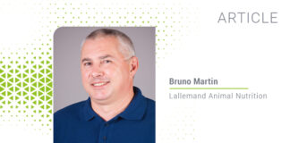 How beef cattle cope with heat stress