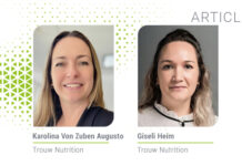 How organic acids in water improve weaned piglet performance into the fattening phase