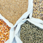 THE BEAUTY OF THE BLEND How organic acids support feed safety and shelf life