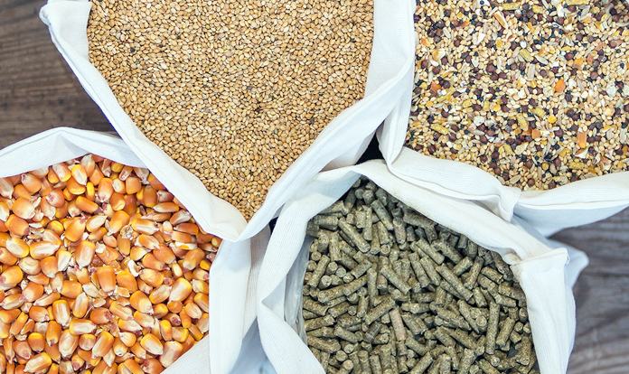 THE BEAUTY OF THE BLEND
How organic acids support feed safety and shelf life 