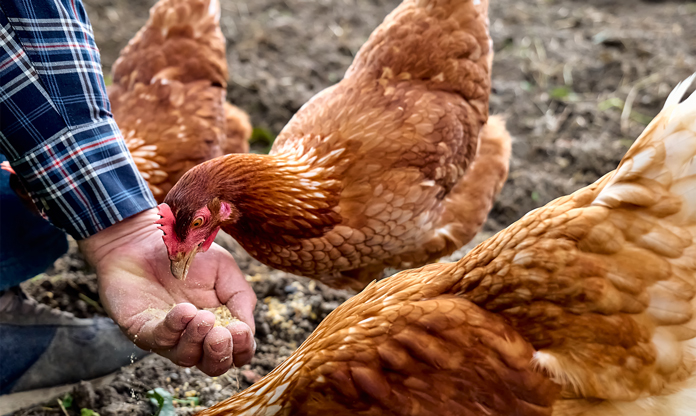 How to mitigate formulation costs when ingredient prices are high