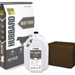 Hubbard Feeds introduces new product line for beef cattle