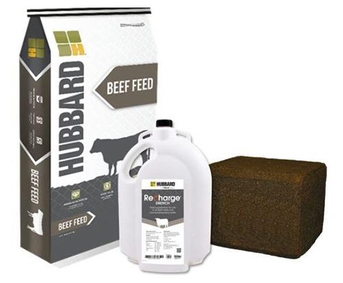 Hubbard Feeds introduces new product line for beef cattle