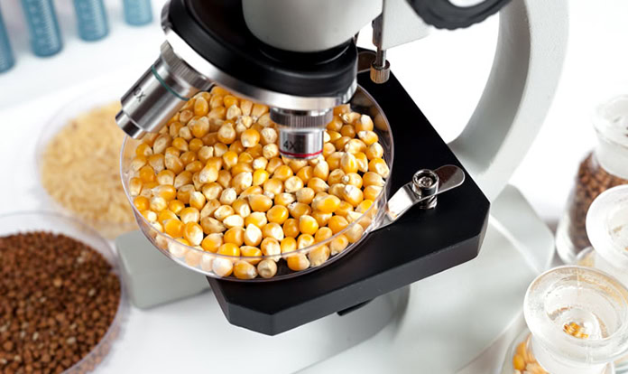 ICCF publishes guidance on feed ingredients environmental risk assessment