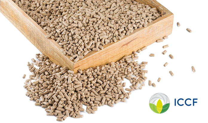 ICCF publishes its guidance document on identification and characterization of feed ingredients