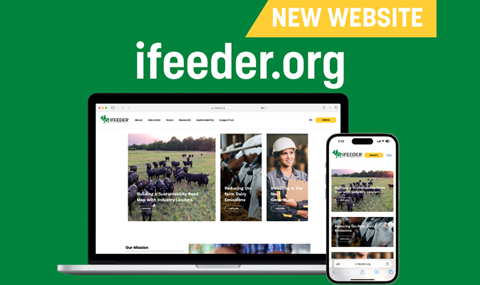 IFEEDER launches its new website 