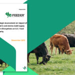 IFEEDER's latest report examines risks in vitamin and amino acid supply chains