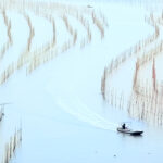 IFFO: Global fishmeal output up 8% in September 2025