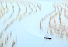 IFFO: Global fishmeal output up 8% in September 2025