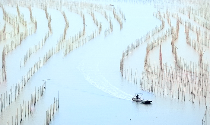 IFFO: Global fishmeal output up 8% in September 2025