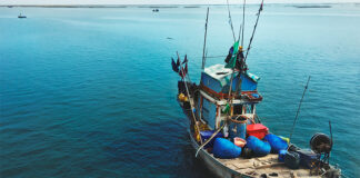 IFFO reports positive momentum in global marine ingredients