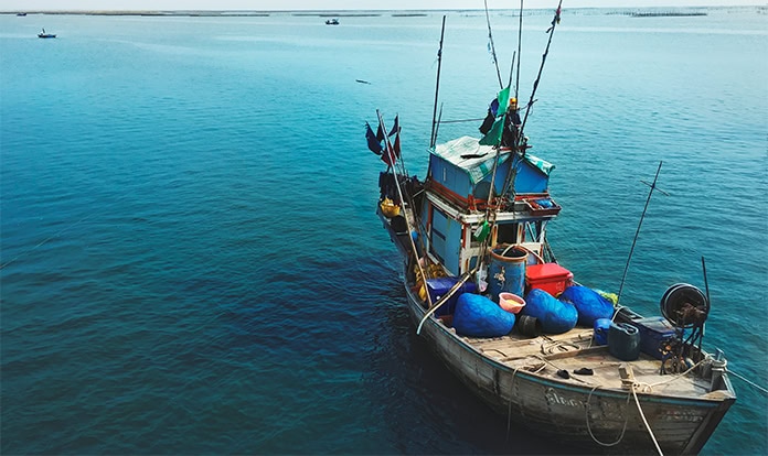 IFFO reports positive momentum in global marine ingredients