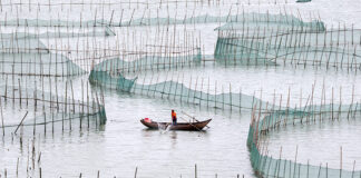 IFFO to hold Marine Ingredients China Workshop on December 12