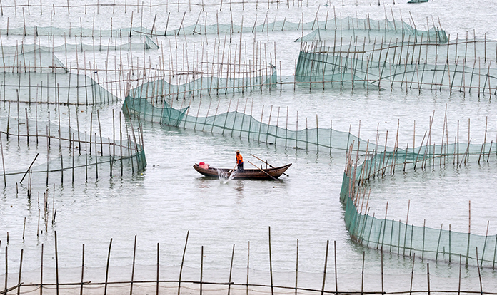 IFFO to hold Marine Ingredients China Workshop on December 12