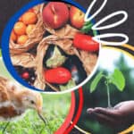 IPIFF annual conference to be held on Dec. 1 in Belgium