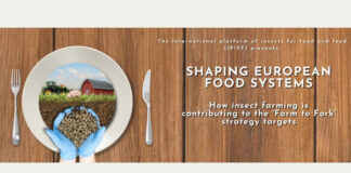 IPIFF to hold annual conference on November 16 in Brussels