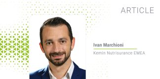 Impact of Ingredients’ Freshness on Cat and Dog Dry Pet Food Palatability