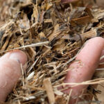 Improve silage quality for better roi