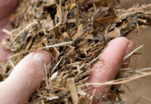 Improve silage quality for better roi