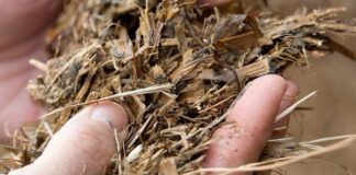 Improve silage quality for better roi
