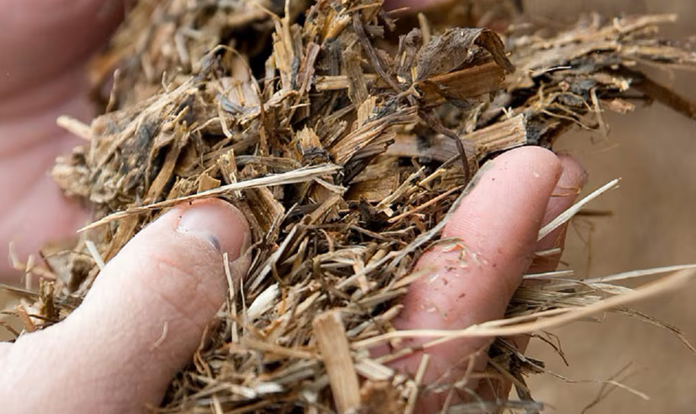 Improve silage quality for better roi