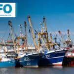 Increased fishmeal production in 2021, while fish oil production dropped