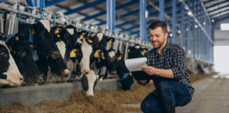 Increased milk yield and reduced enteric methane concentration with dietary inclusion of sugarcane extract