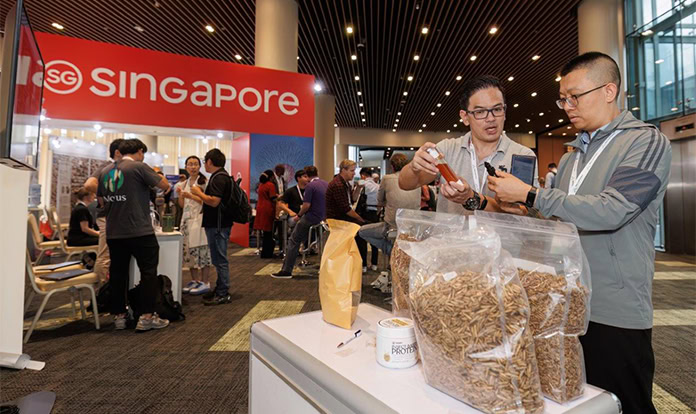 Industry experts gather to discuss insect feed and food sector