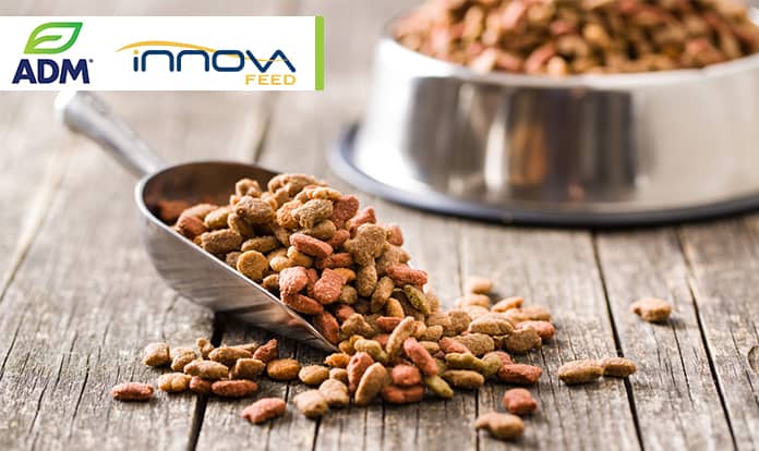 InnovaFeed readies for major U.S. expansion