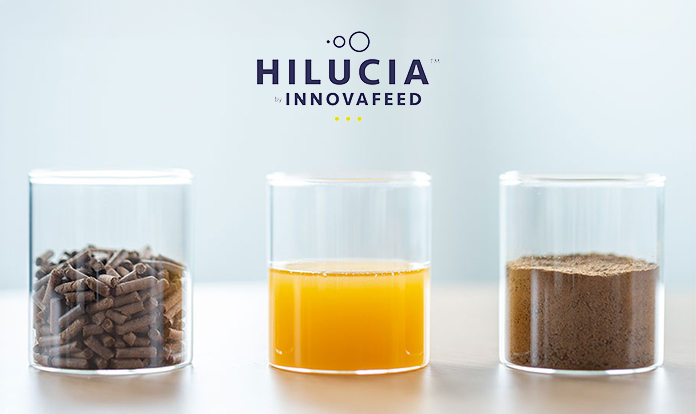 Innovafeed launches its new brand Hilucia for monogastrics and aqua 