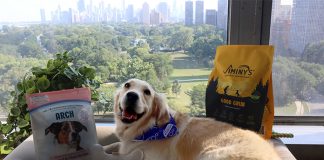 Innovafeed partners with pet food companies for Hilucia label