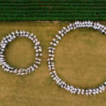 Innovafeed raises US$250m in Series D financing round to accelerate growth