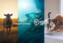 Innovafeed’s environmental data validated by Global Feed LCA Institute