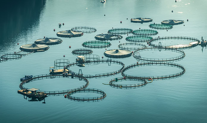 Innovasea expands environmental monitoring offerings with partnership