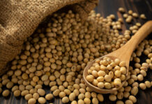 Innovative soy supply expected to cut broiler feed emissions