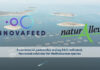 Insect-based aquafeed reaches industrial scale in the Mediterranean