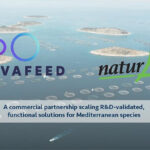 Insect-based aquafeed reaches industrial scale in the Mediterranean