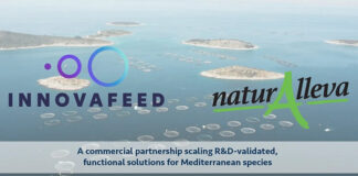 Insect-based aquafeed reaches industrial scale in the Mediterranean