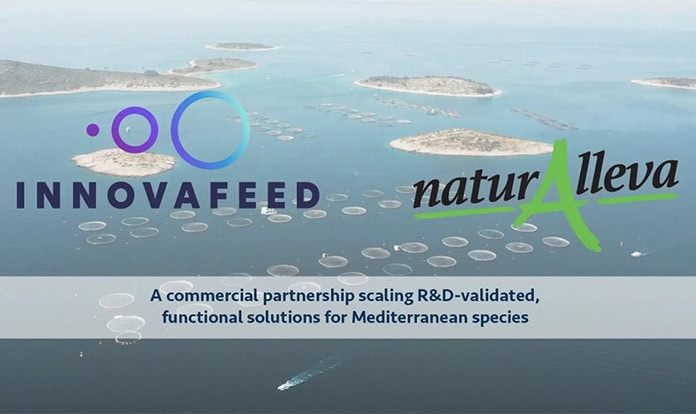 Insect-based aquafeed reaches industrial scale in the Mediterranean