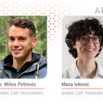 Insect meals as a source of functional and bioactive compounds