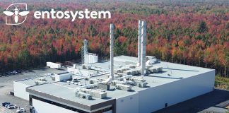 Insect protein producer secures an investment of $58 million