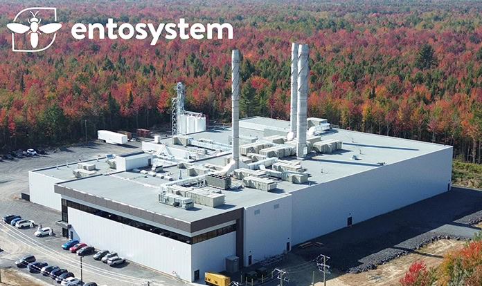 Insect protein producer secures an investment of $58 million