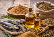 Inside the global fishmeal and fish oil market: Demand growth meets limited supply