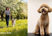 Interzoo 2026 expands programme with Sustainability Conference and First Groomers’ Day