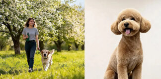 Interzoo 2026 expands programme with Sustainability Conference and First Groomers’ Day