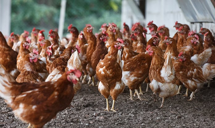 Invisible stressors: When unseen challenges limit performance 