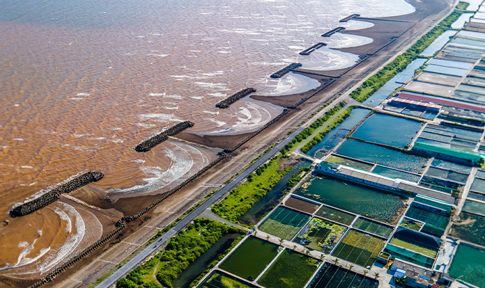 Phileo by Lesaffre introduces Program Aquasaf Shrimp