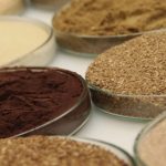 Ittinsect rebrands to reflect expanded operations