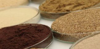 Ittinsect rebrands to reflect expanded operations