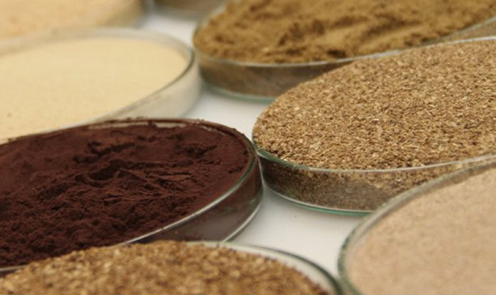 Ittinsect rebrands to reflect expanded operations